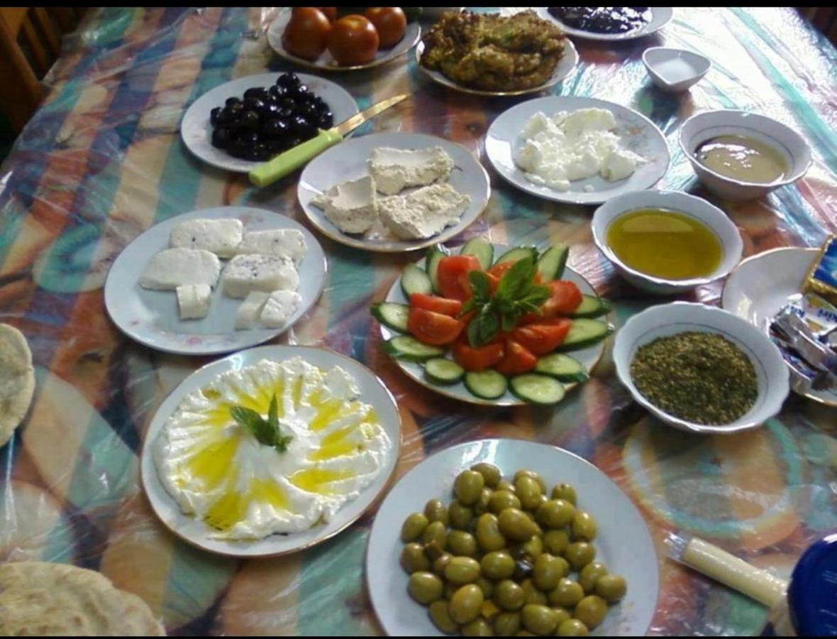Bedouin Adventure & Tours Otel Ram Vadisi Dış mekan fotoğraf